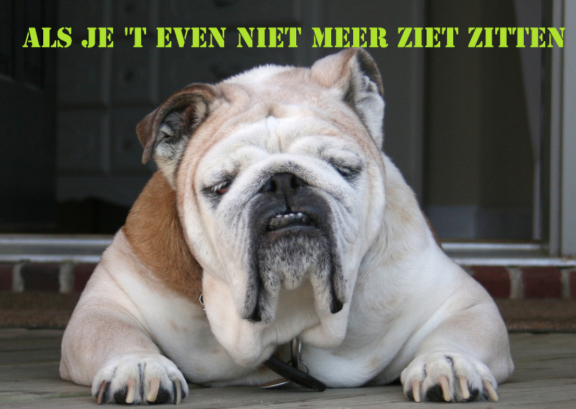 Coachingskaarten - Als je t even niet meer ziet zitten