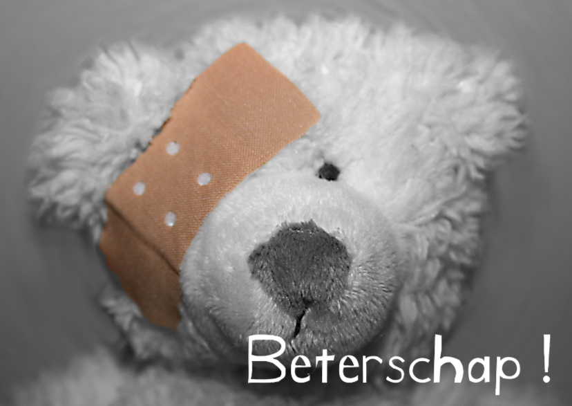 Beterschapskaarten - Beer met pleister