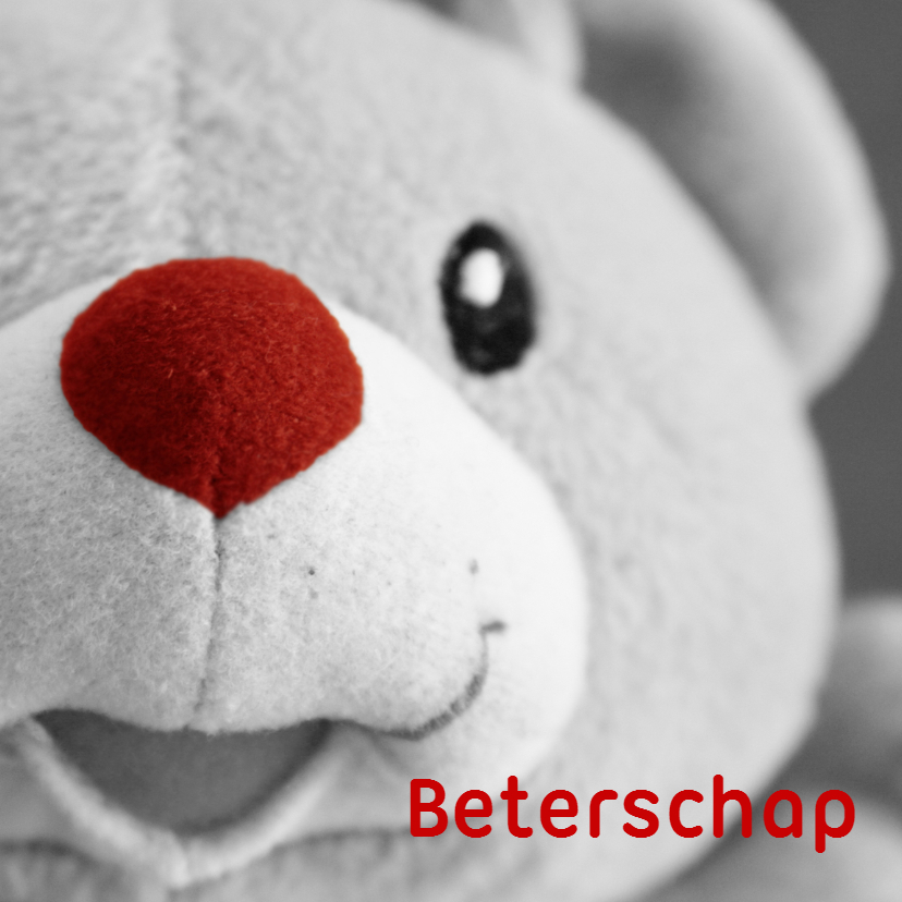 Beterschapskaarten - Beer met rode neus
