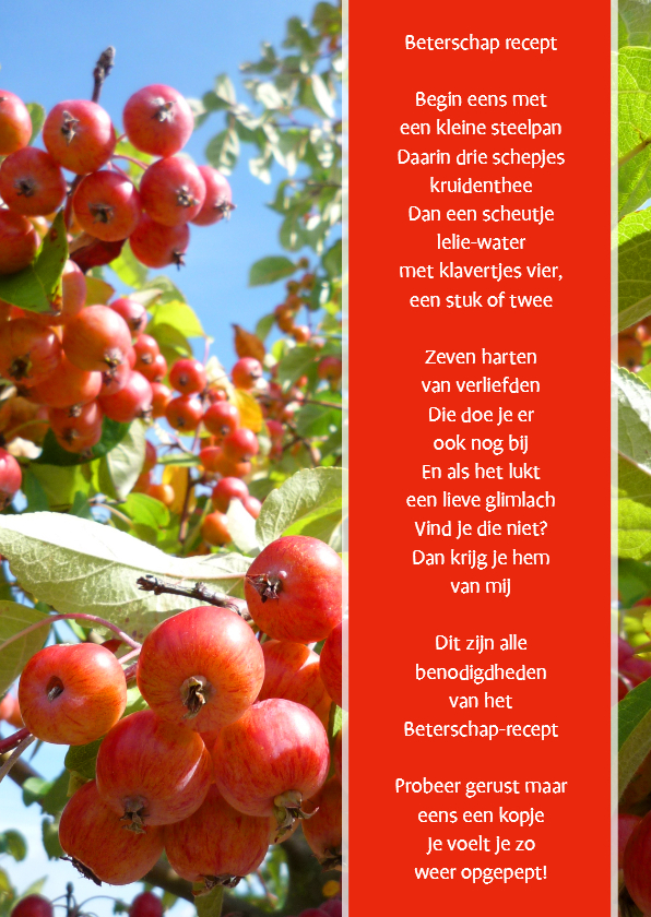Beterschapskaarten - Beterschap recept