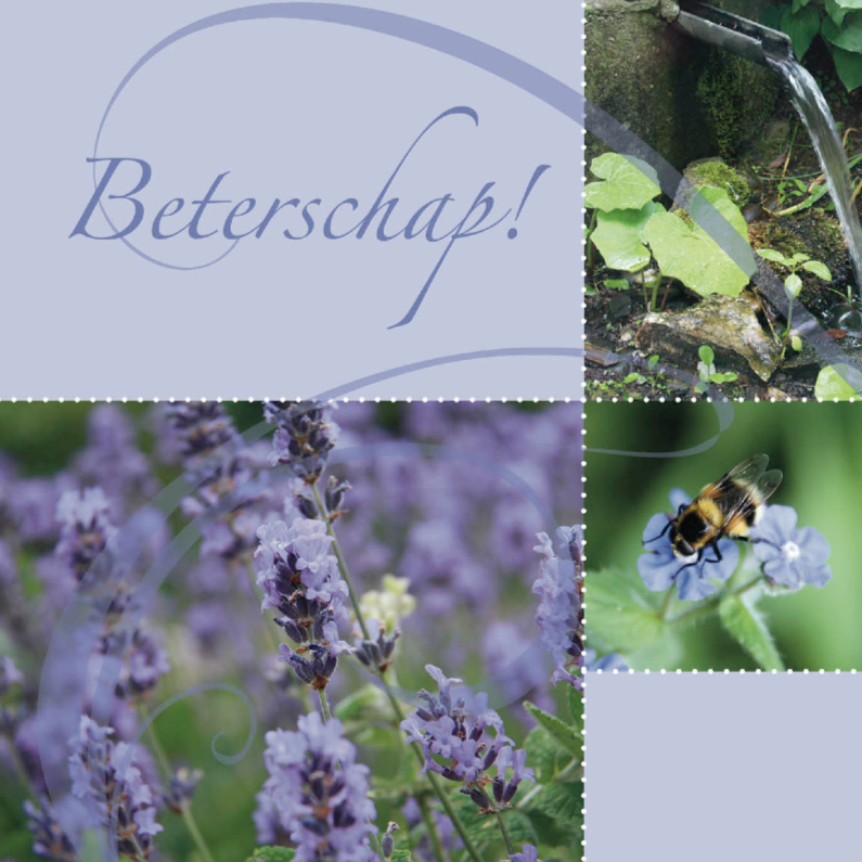 Beterschapskaarten - bloemenkaart met rustgevende lavendel