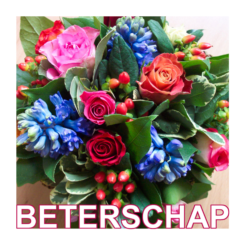 Beterschapskaarten - Boeketje Beterschap