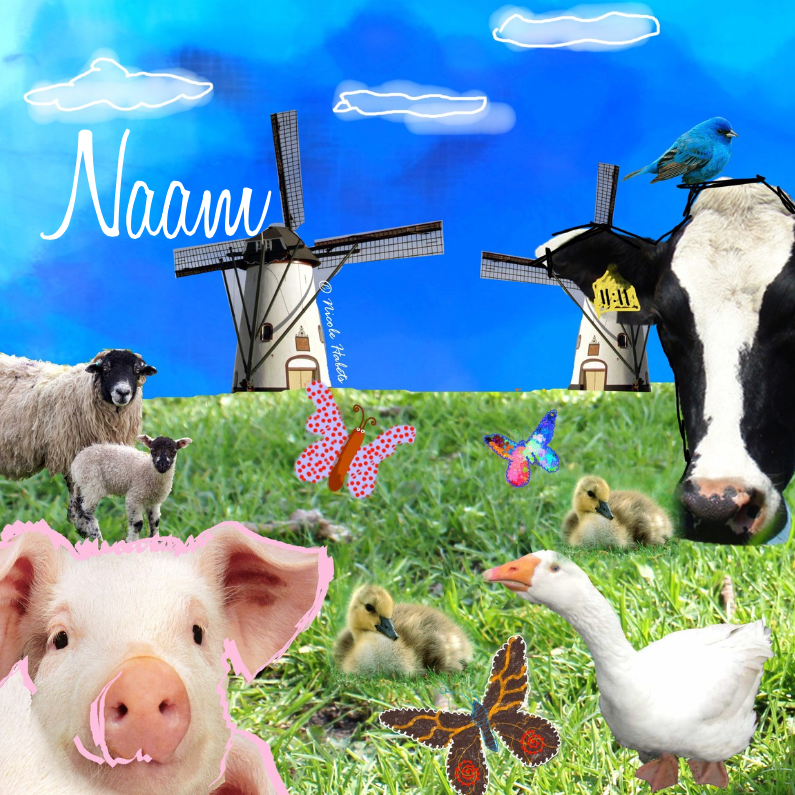 Geboortekaartjes - Boerderij dieren