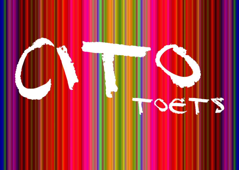 Coachingskaarten - cito toets succes of proficiat 2