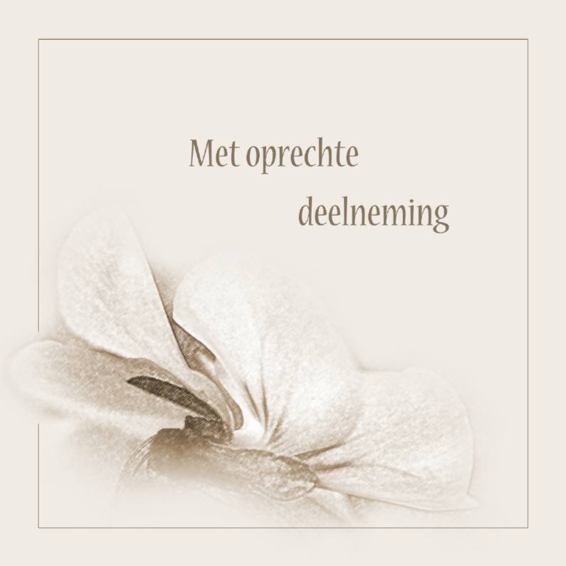 Condoleancekaarten - Condoleance met viooltje