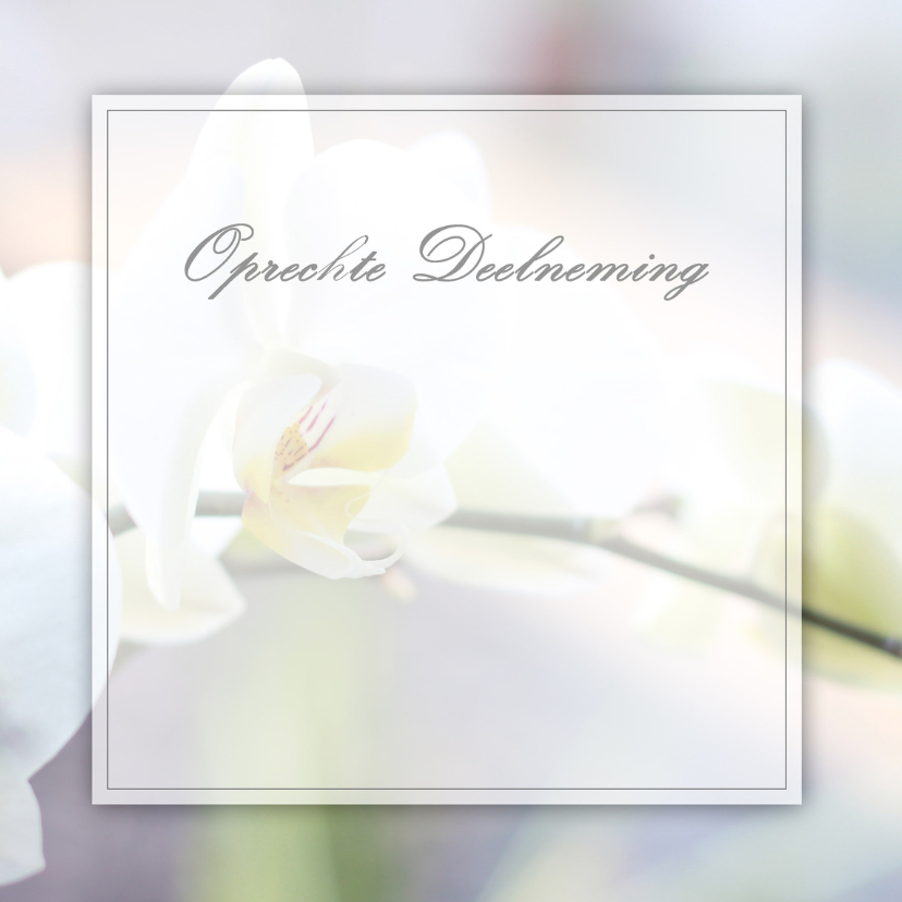 Condoleancekaarten - Deelneming Orchidee
