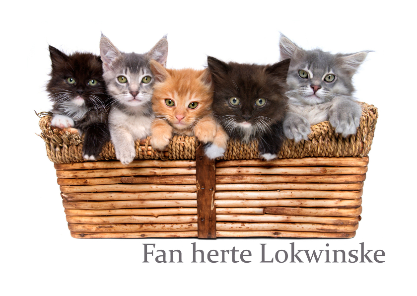 Fryske kaartsjes - Fan herte lokwinske Poeskes boefkes