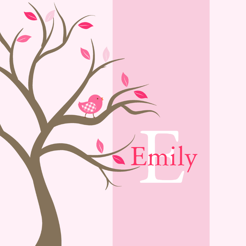 Geboortekaartjes - Geboortekaartje Emily foto