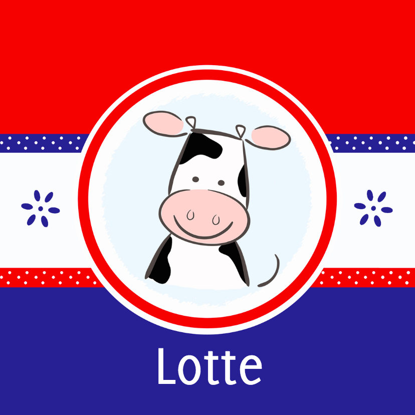 Geboortekaartjes - Geboortekaartje rood-wit-blauw