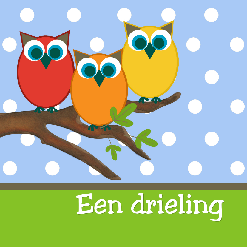 Geboortekaartjes - Geboortekaartje uiltjes drieling
