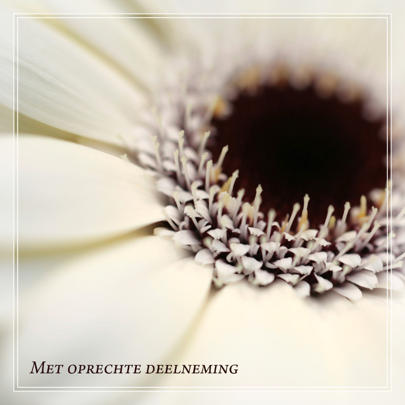 Condoleancekaarten - Gecondoleerd IV
