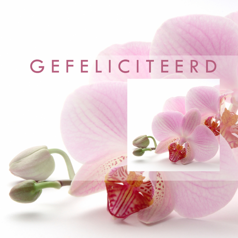 Felicitatiekaarten - Gefeliciteerd Orchidee