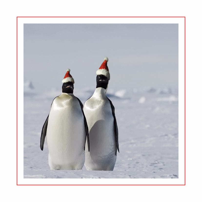 Kerstkaarten - Kerstkaart Pinguins met kerstmuts