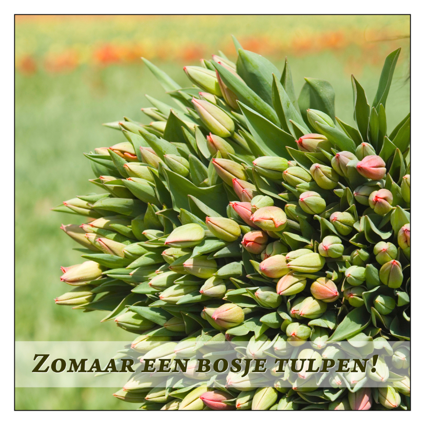 Bloemenkaarten - Lente V
