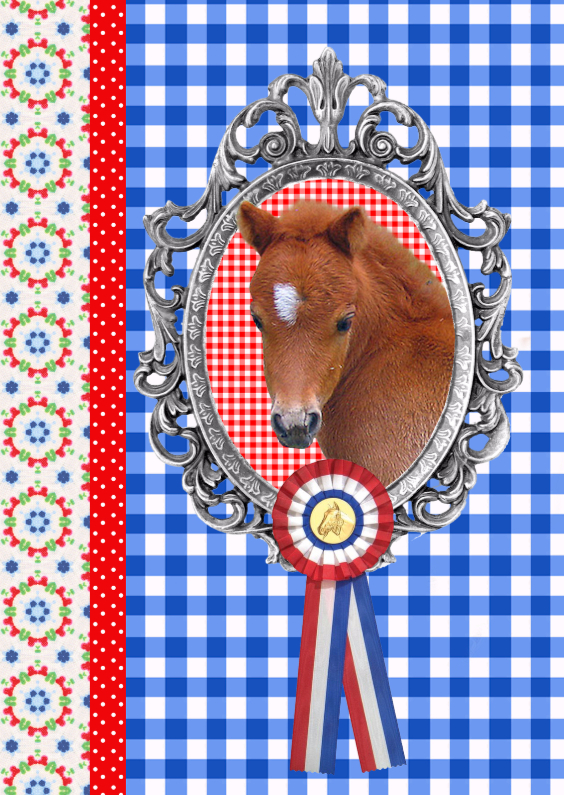 Dierenkaarten - Little Pony