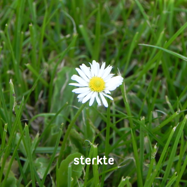 Condoleancekaarten - Miks fotokaart 06