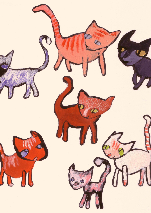 Dierenkaarten - Nieuwsgierige katten