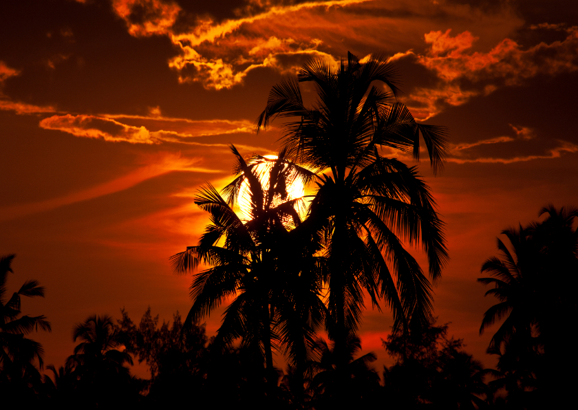 Ansichtkaarten - Ondergaande oranje zonsondergang