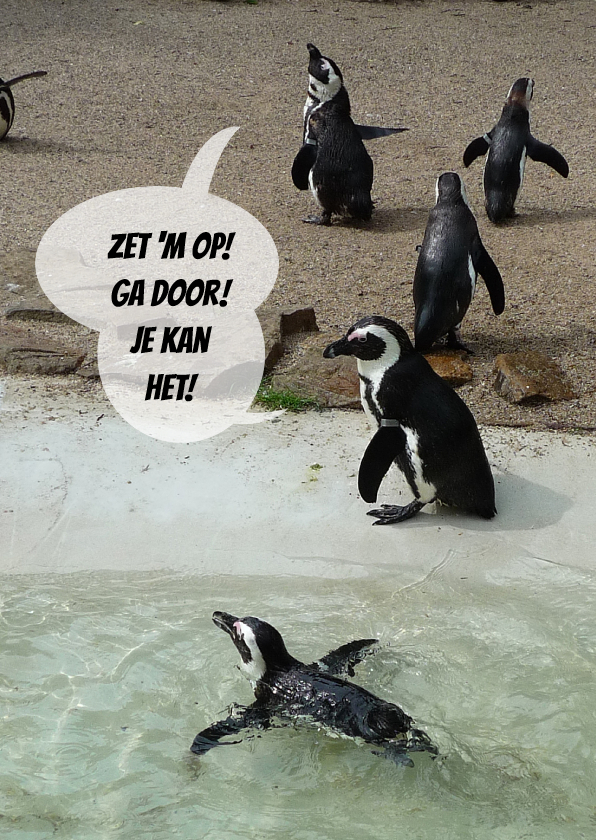 Coachingskaarten - Pinguin Coaches