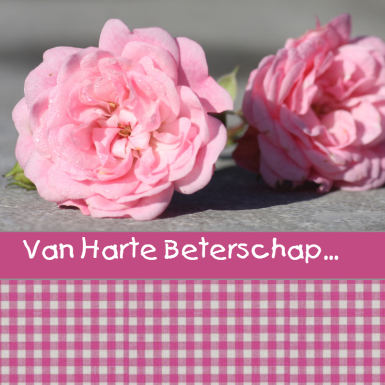 Beterschapskaarten - roosje ruit