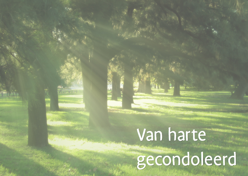 Condoleancekaarten - Rustieke condoleance