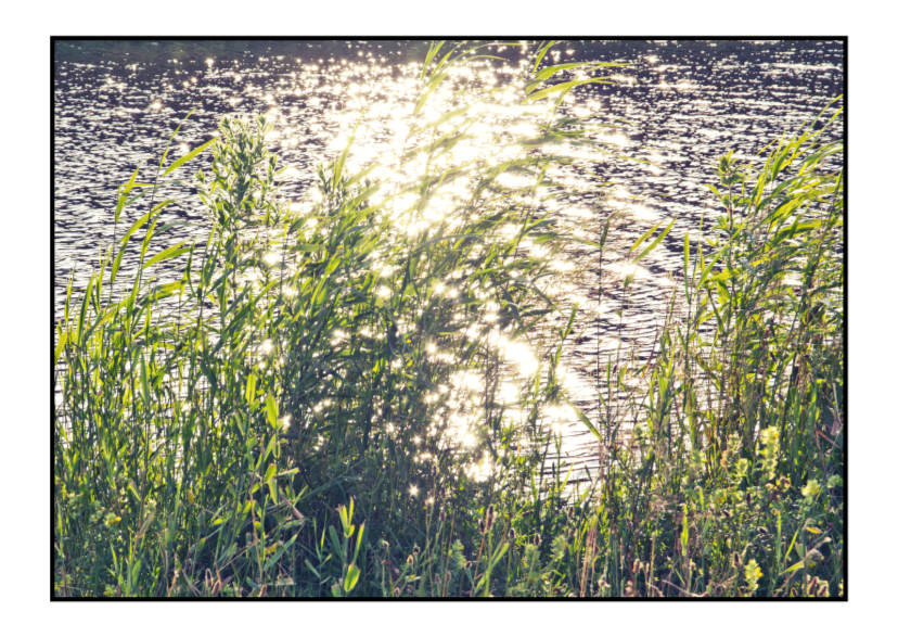 Condoleancekaarten - The sound of silence