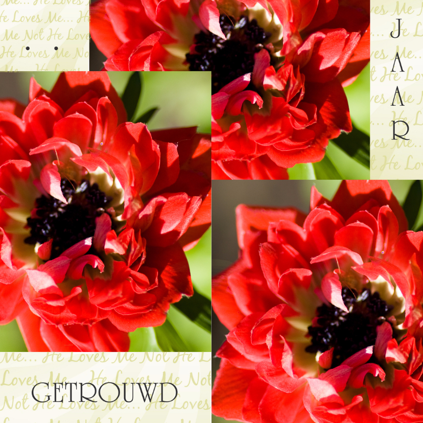 Felicitatiekaarten - trouwdag