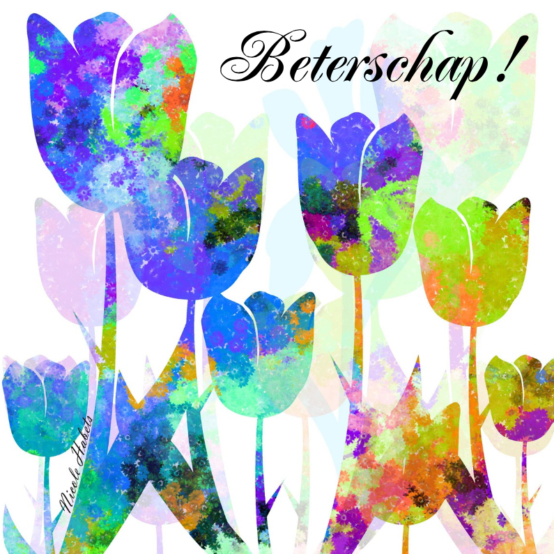 Beterschapskaarten - Tulpen beterschap