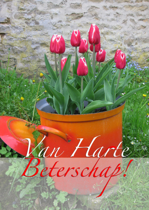 Beterschapskaarten - Van harte beterschap kaart met mooie tulpen