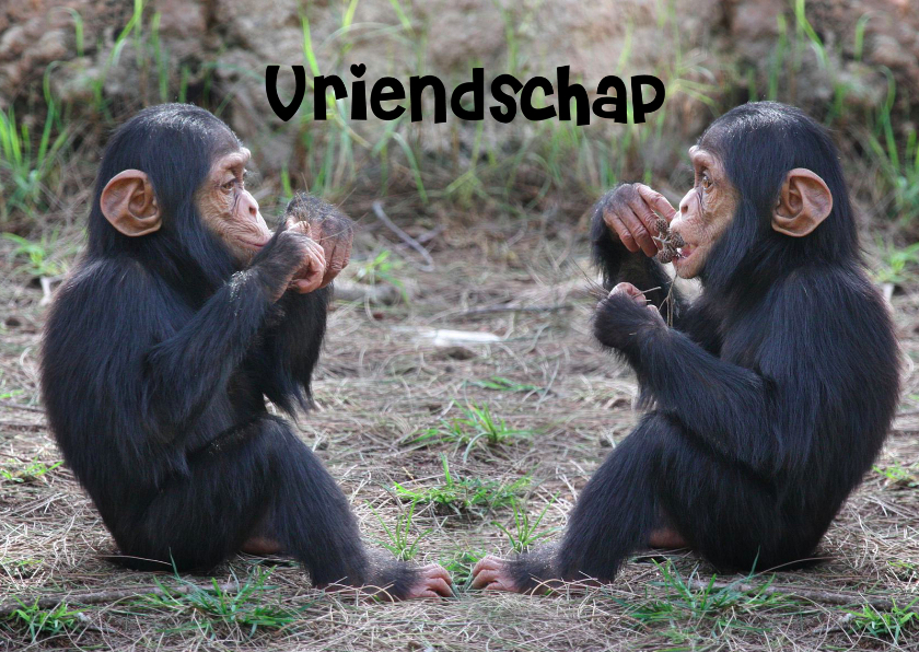 Vriendschap kaarten - Vriendschapkaart