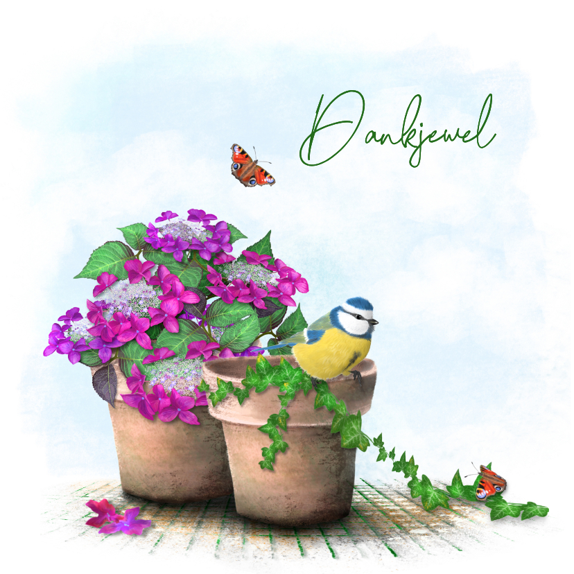Bedankkaart Hortensia in pot met pimpelmees - Bedankkaartjes Bedankkaartjes - Bedankkaart Hortensia in pot met pimpelmees