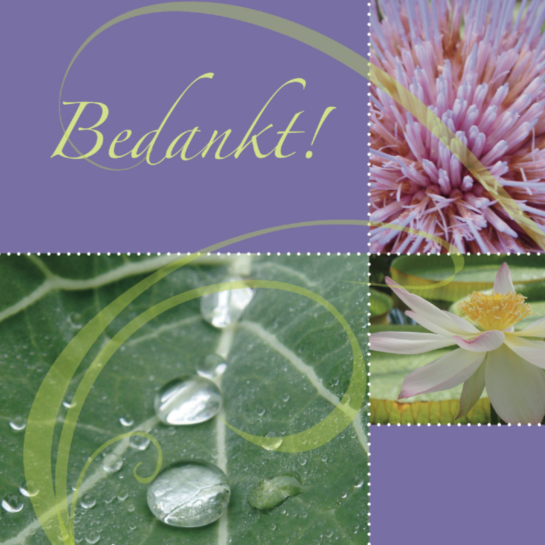 Bedankkaart met bloemen en dauwdruppels - Bedankkaartjes Bedankkaartjes - Bedankkaart met bloemen en dauwdruppels