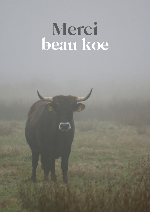 Bedankkaartje met 'Merci beau koe' foto - Bedankkaartjes Bedankkaartjes - Bedankkaartje met 'Merci beau koe' foto