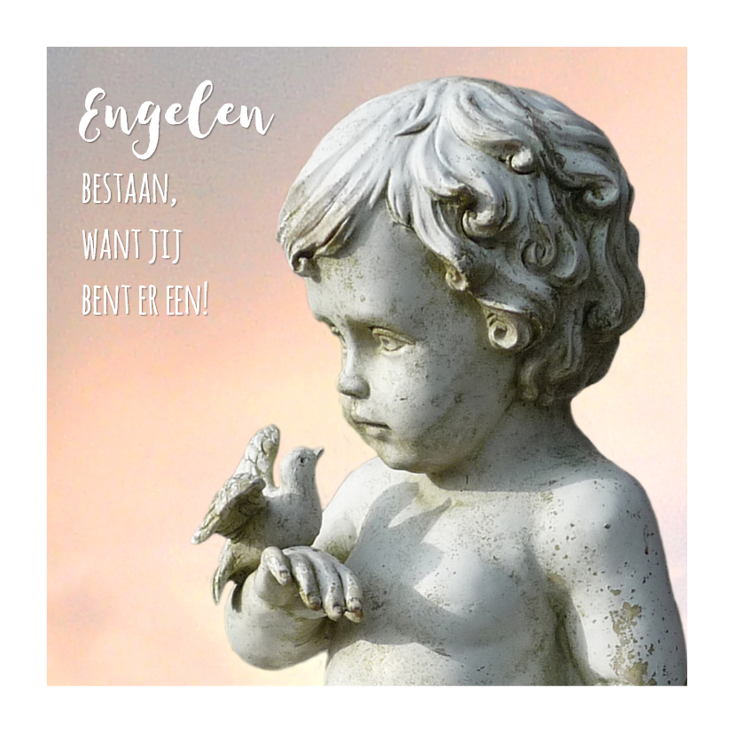Bedankt Duif en Engel - Bedankkaartjes Bedankkaartjes - Bedankt Duif en Engel