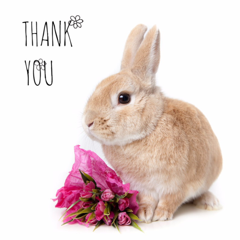 Bedankkaartjes - Bedankt - Thank you konijn