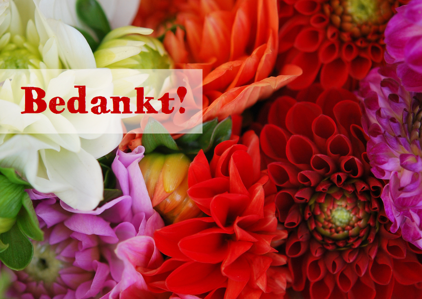 Bedankkaartjes - Kleurrijke bloemen av