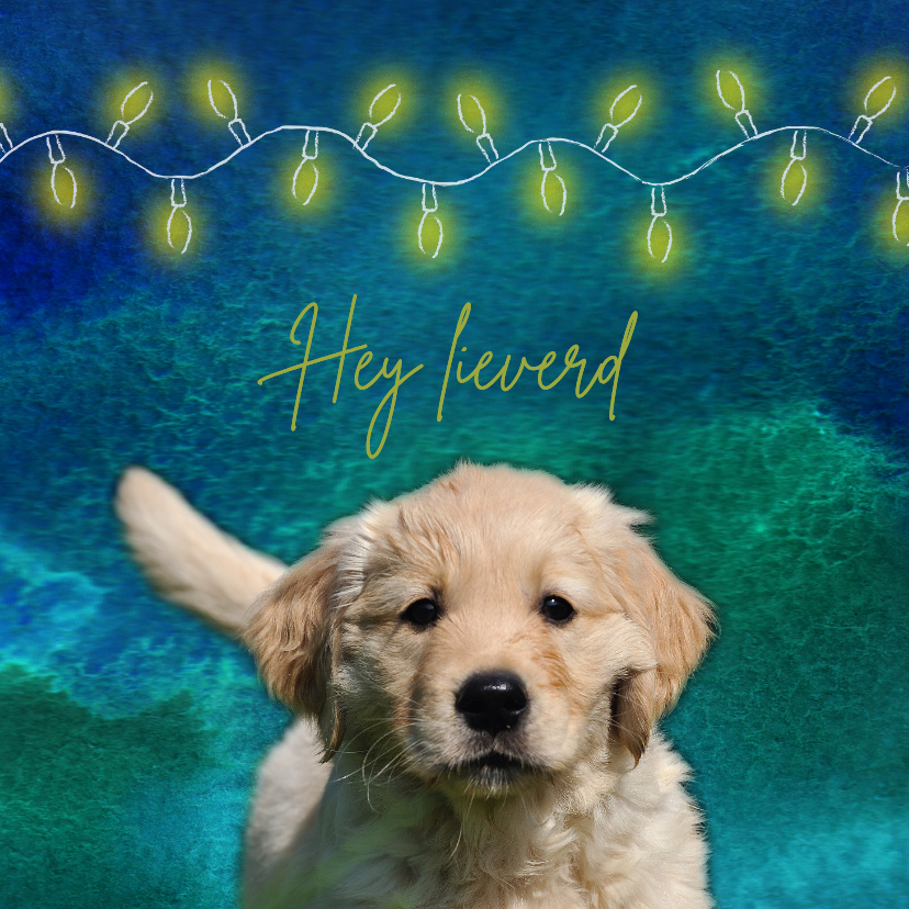 KNGF bedankkaart met pup die je aankijkt - Bedankkaartjes Bedankkaartjes - KNGF bedankkaart met pup die je aankijkt