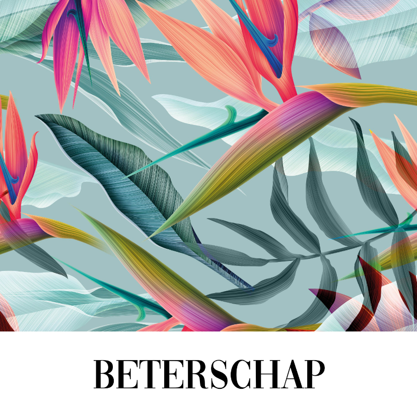Aloha wenskaart - Beterschap - Beterschapskaarten Beterschapskaarten - Aloha wenskaart - Beterschap