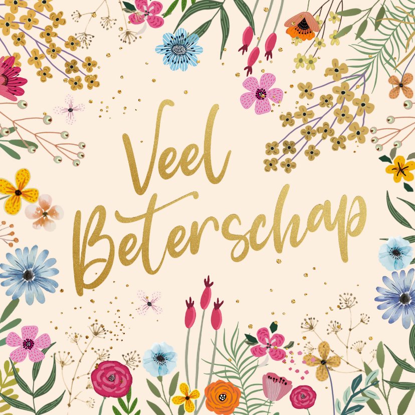 Beterschapskaarten - Beterschap bloemen en takjes