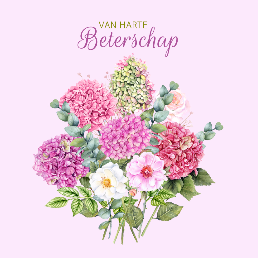 Beterschapskaarten - Beterschap boeket hortensia 