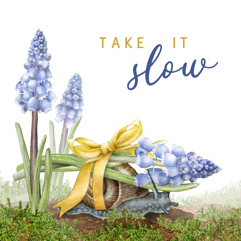 Beterschapskaarten - Beterschap burn out blauw druifje met slak