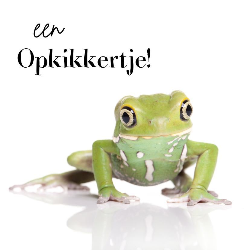 Beterschapskaarten - Beterschap! - De opkikker kikker