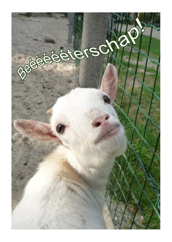 Beterschap Geit - Beterschapskaarten Beterschapskaarten - Beterschap Geit