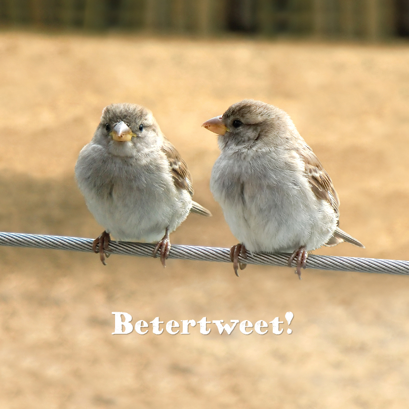 Beterschap hippe tweet - Beterschapskaarten Beterschapskaarten - Beterschap hippe tweet
