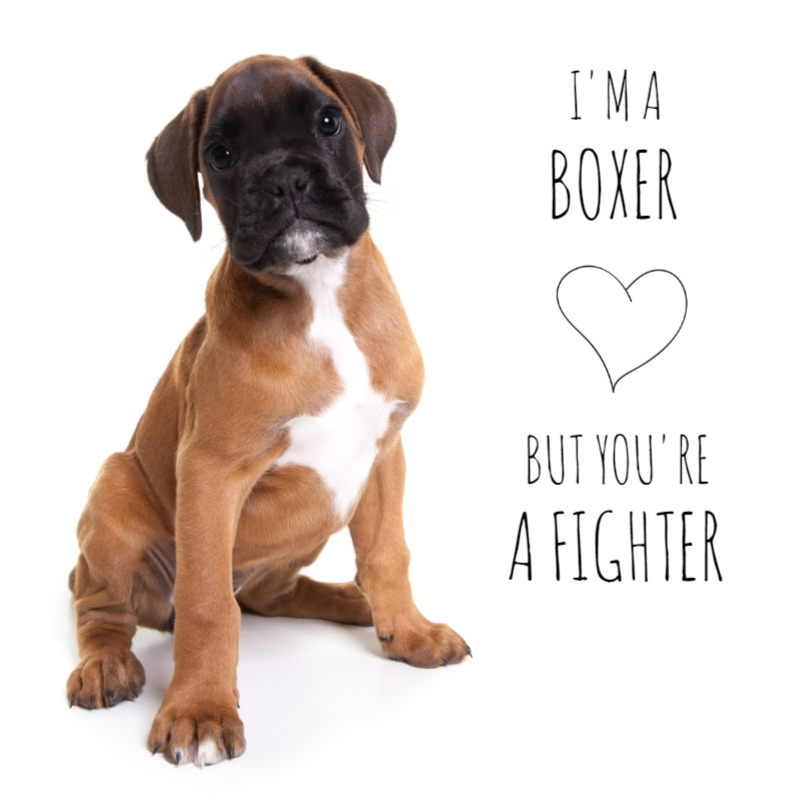 Beterschapskaarten - Beterschap - I'm a boxer 