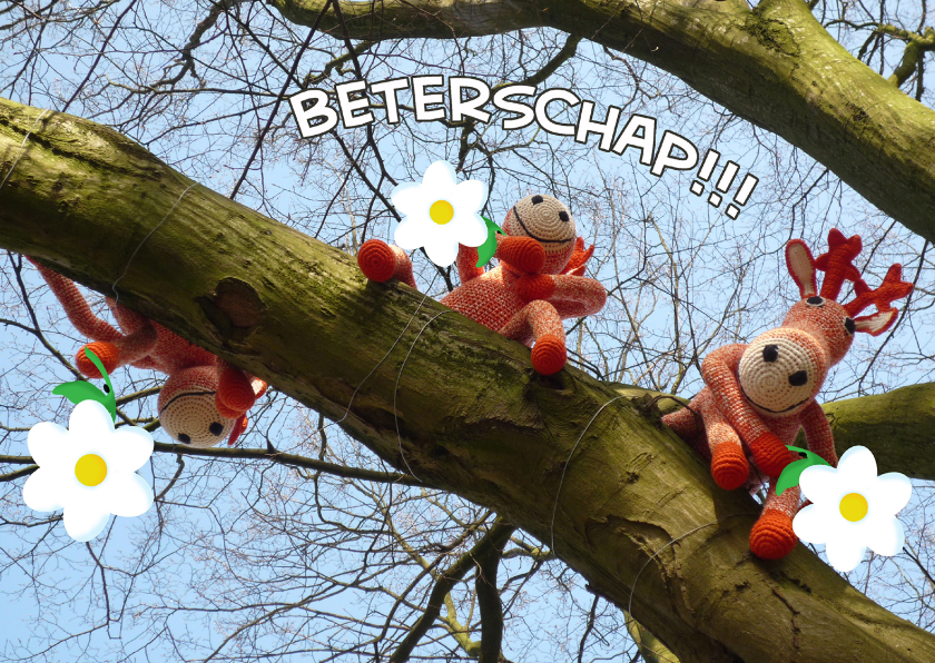 Beterschap knuffeltjes - Beterschapskaarten Beterschapskaarten - Beterschap knuffeltjes