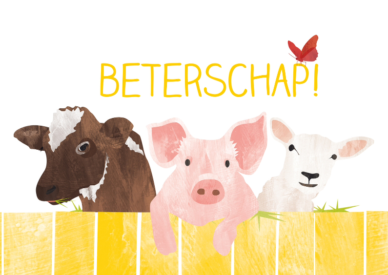 Beterschap koe varken schaap vlinder - Beterschapskaarten Beterschapskaarten - Beterschap koe varken schaap vlinder
