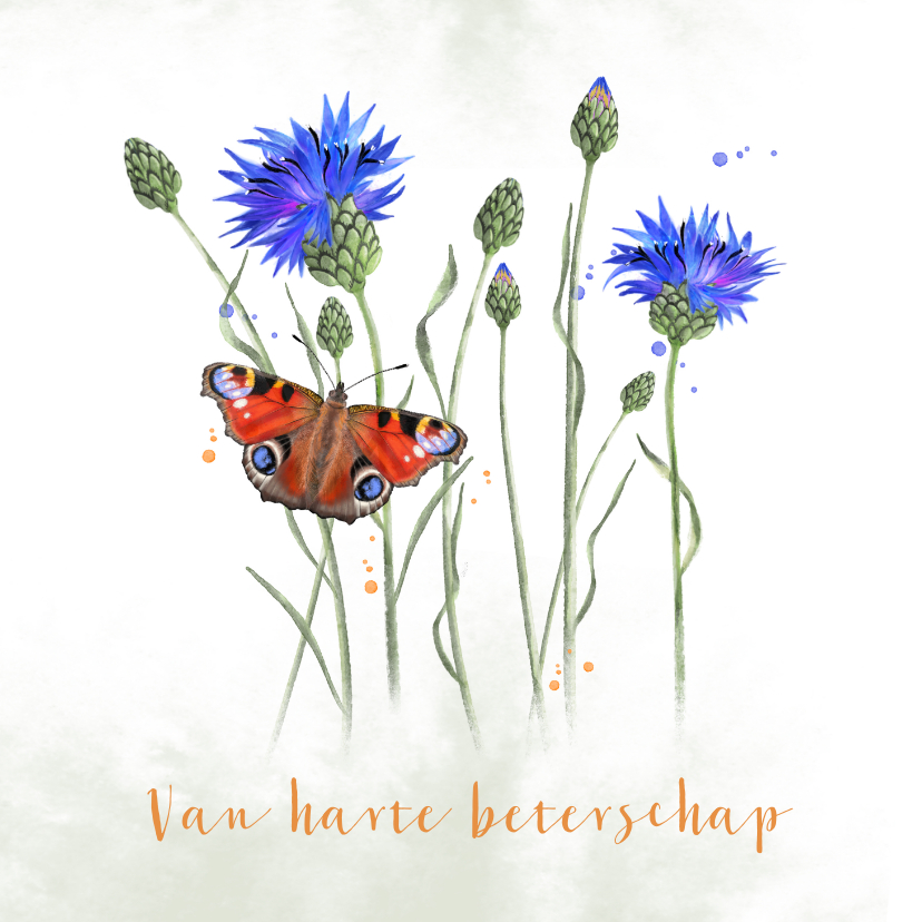 Beterschapskaarten - Beterschap korenbloemen met dagpauwoog-vlinder