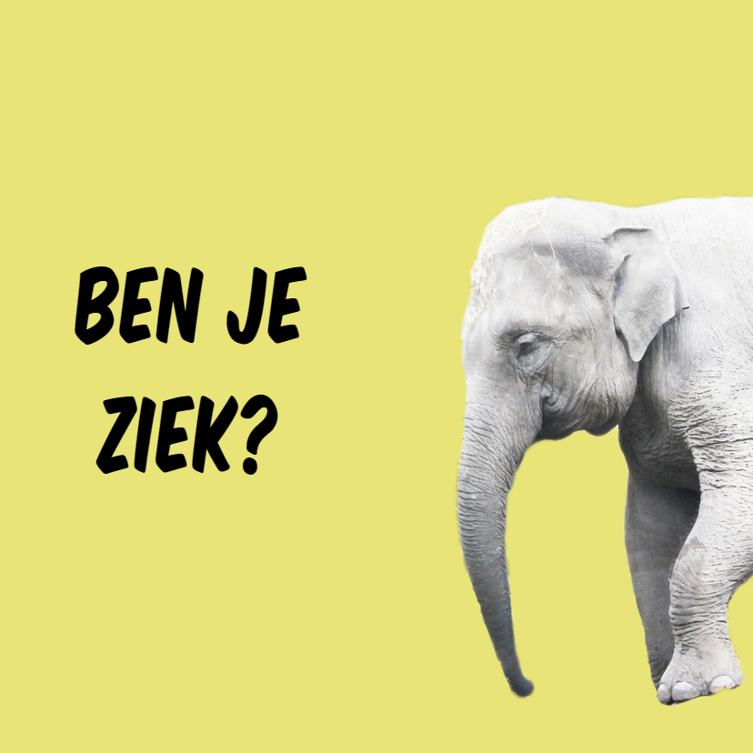 Beterschap Olifant - Beterschapskaarten Beterschapskaarten - Beterschap Olifant