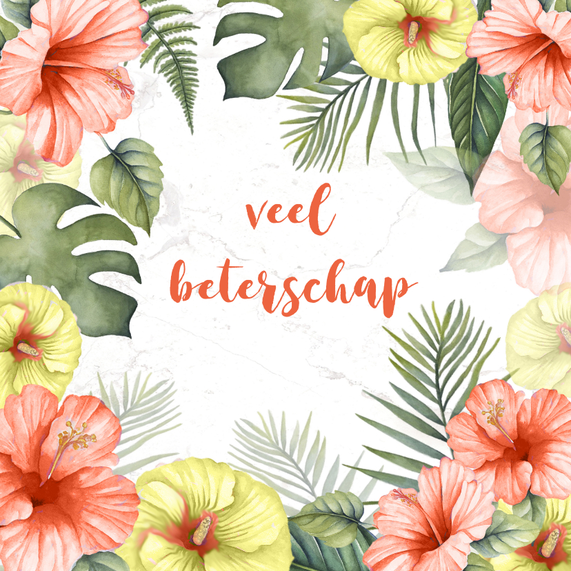 Beterschapskaarten - Beterschap tropische bloemen